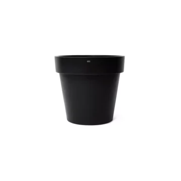 Classic 50 Studio - Graphite