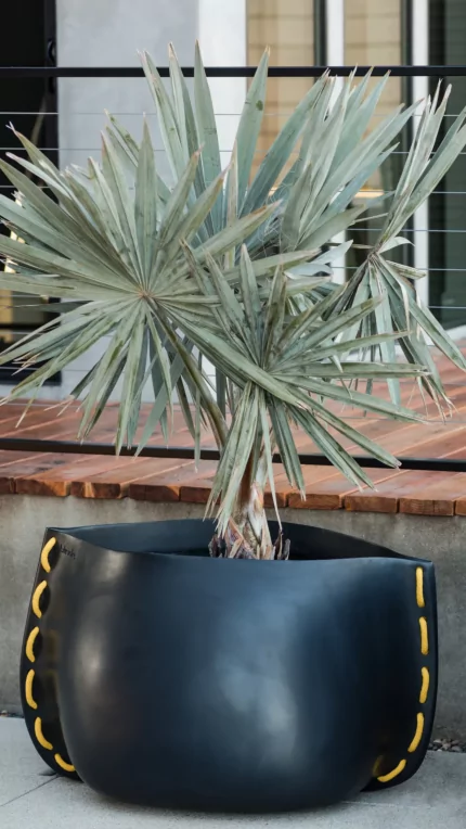 Stitch Planter - Starfire