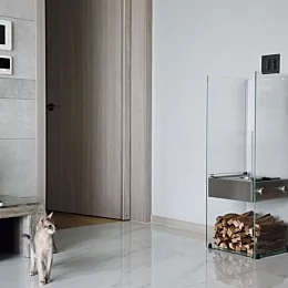 .
#urbanexplorer 
라니 난로 좀 켜달라옹
#에코스마트파이어
#ecosmartfire
#냥스타그램 #캣스타그...