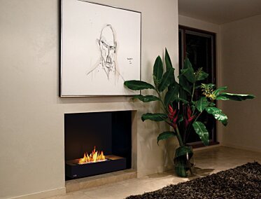 Grate 30 Fireplace Insert - In-Situ Image by EcoSmart Fire