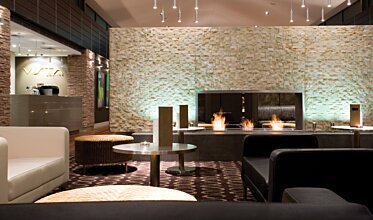 Crowne Plaza Hotel - Fireplace inserts